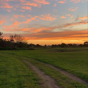 Meet your Posher, Annika